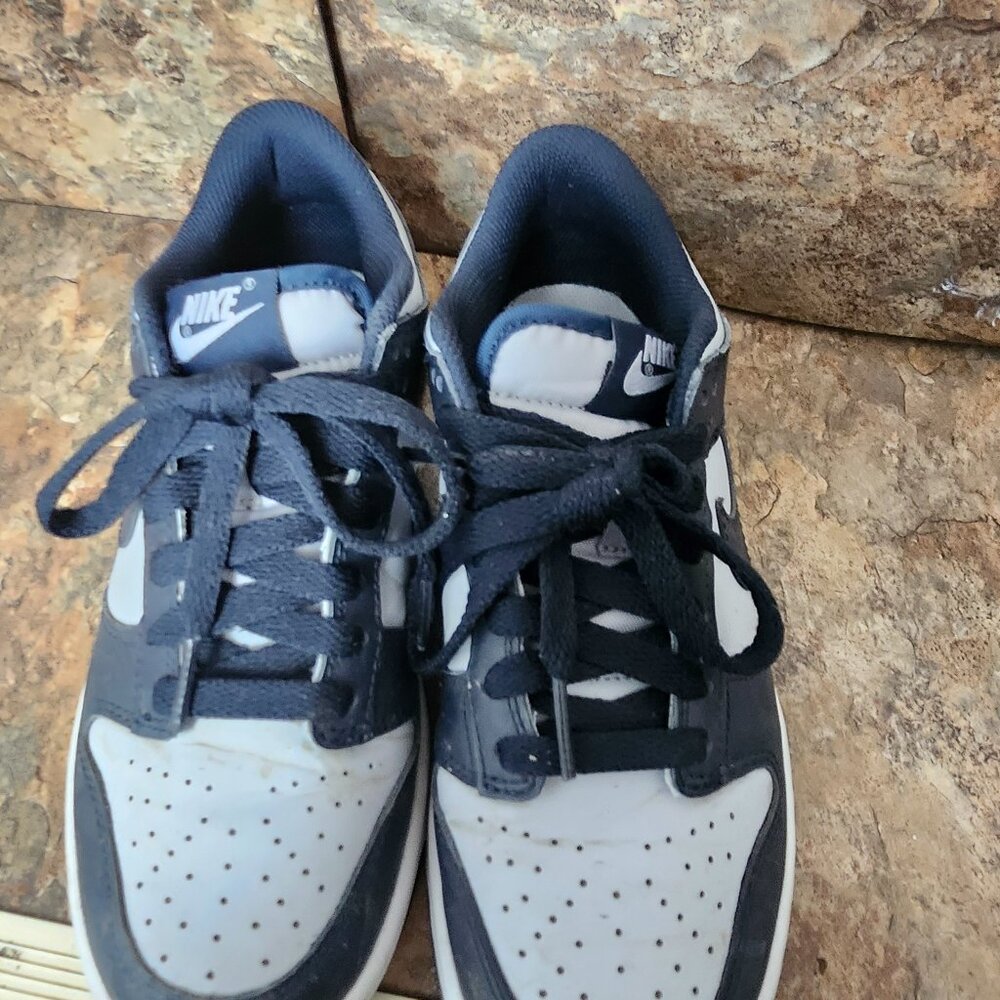 Nike dunks